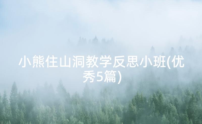 小熊住山洞教学反思小班(优秀5篇)