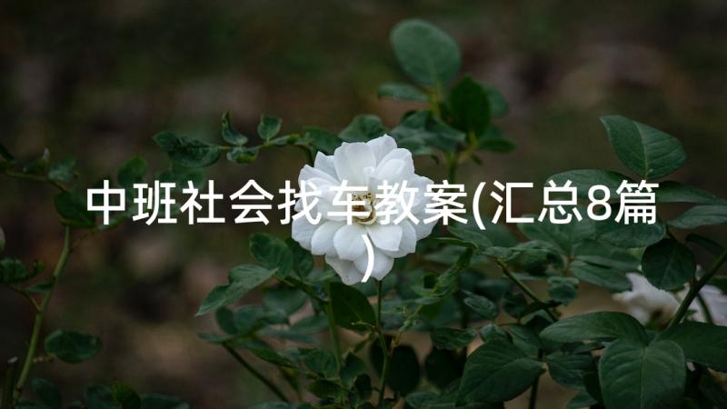 中班社会找车教案(汇总8篇)