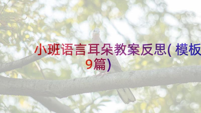 小班语言耳朵教案反思(模板9篇)