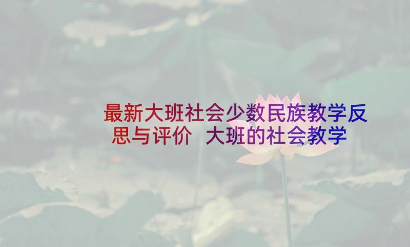 最新大班社会少数民族教学反思与评价 大班的社会教学反思(精选5篇)