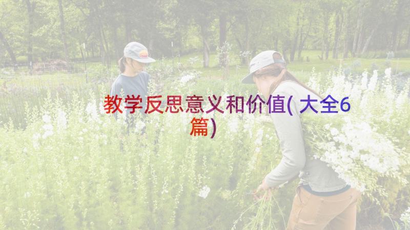 教学反思意义和价值(大全6篇)