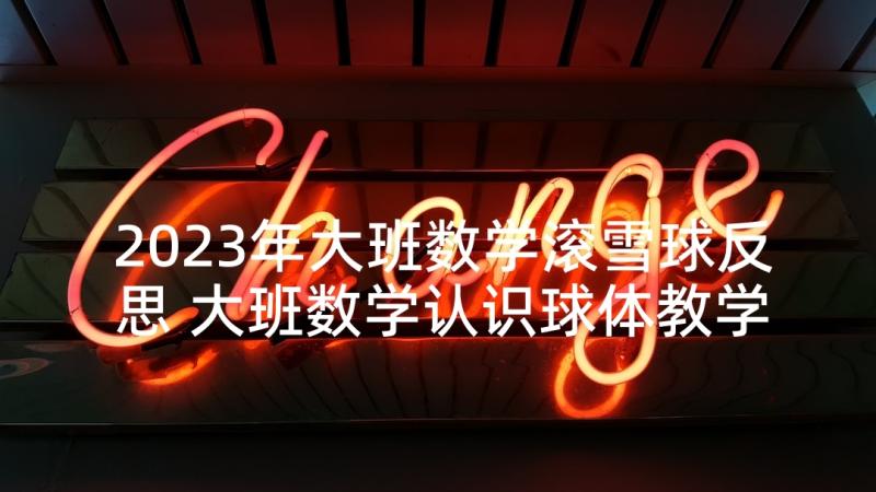 2023年大班数学滚雪球反思 大班数学认识球体教学反思(大全6篇)