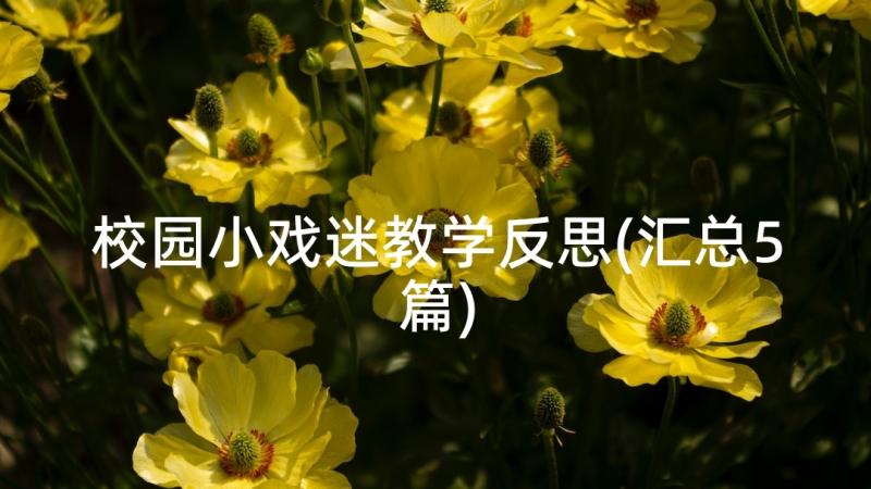 校园小戏迷教学反思(汇总5篇)