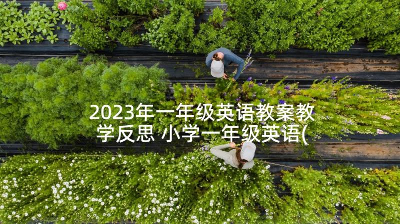 2023年一年级英语教案教学反思 小学一年级英语(大全5篇)