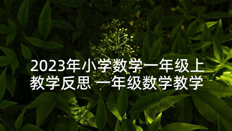 2023年小学数学一年级上教学反思 一年级数学教学反思(汇总9篇)