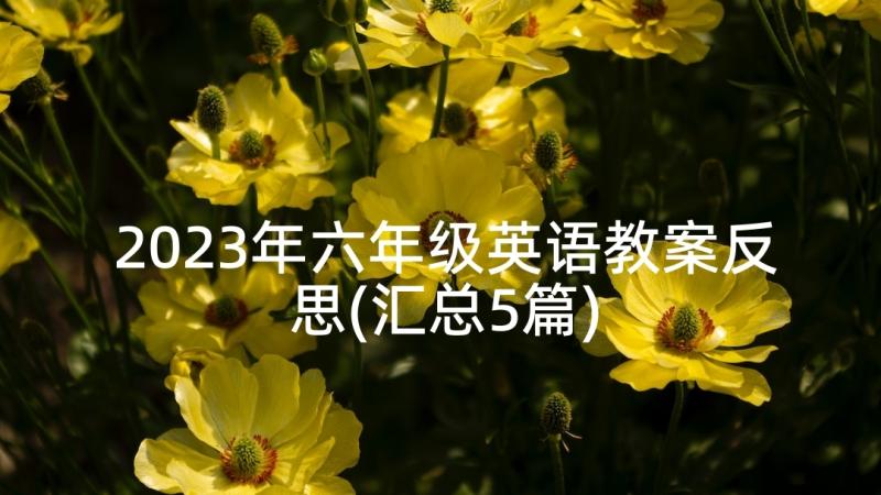 2023年六年级英语教案反思(汇总5篇)