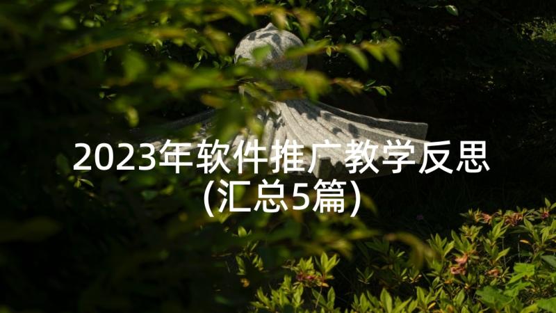 2023年软件推广教学反思(汇总5篇)