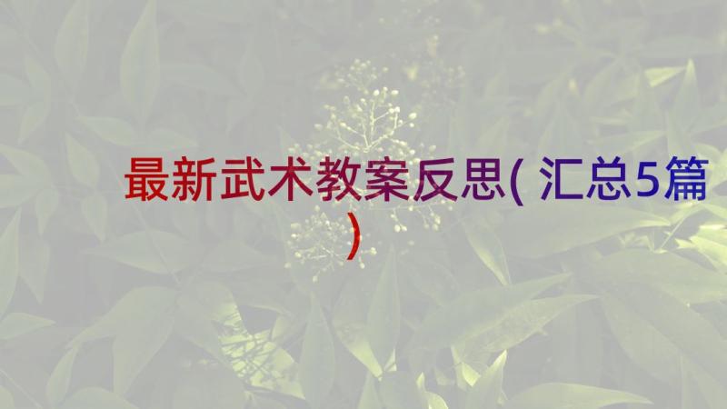 最新武术教案反思(汇总5篇)