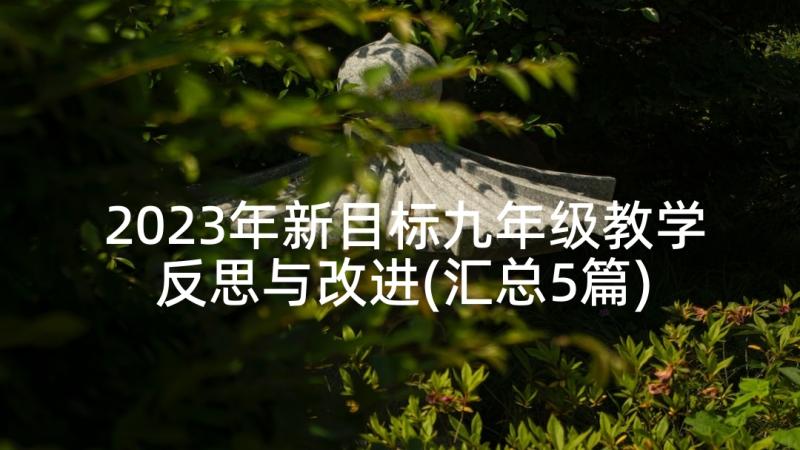 2023年新目标九年级教学反思与改进(汇总5篇)