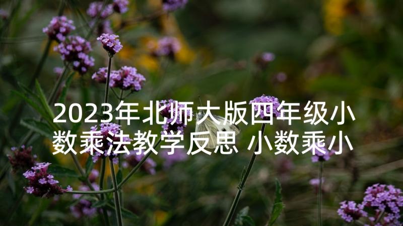 2023年北师大版四年级小数乘法教学反思 小数乘小数教学反思(汇总6篇)