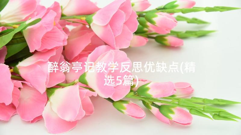 醉翁亭记教学反思优缺点(精选5篇)