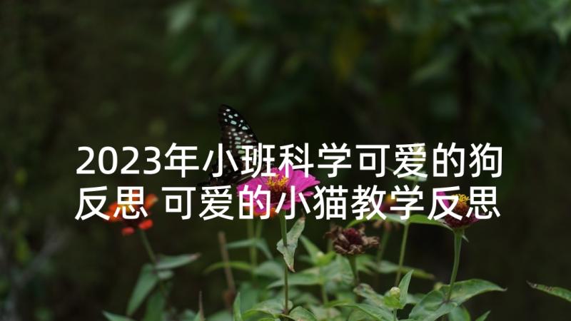 2023年小班科学可爱的狗反思 可爱的小猫教学反思(通用8篇)