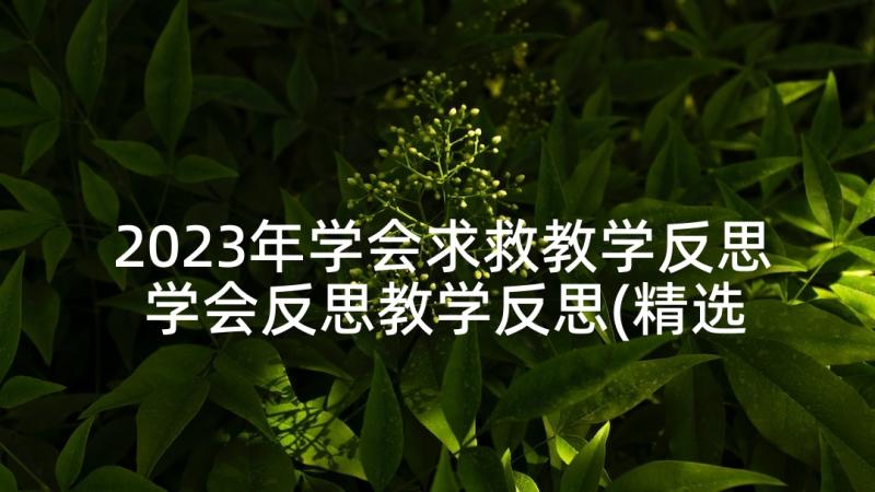 2023年学会求救教学反思 学会反思教学反思(精选9篇)