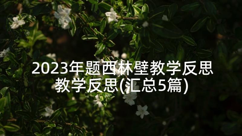 2023年题西林壁教学反思教学反思(汇总5篇)