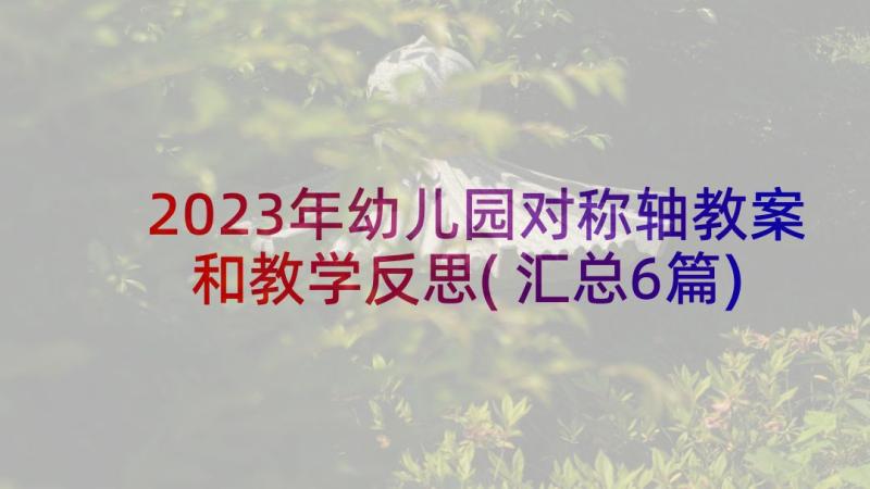 2023年幼儿园对称轴教案和教学反思(汇总6篇)