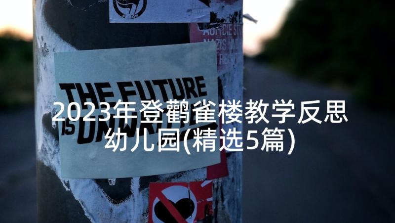 2023年登鹳雀楼教学反思幼儿园(精选5篇)