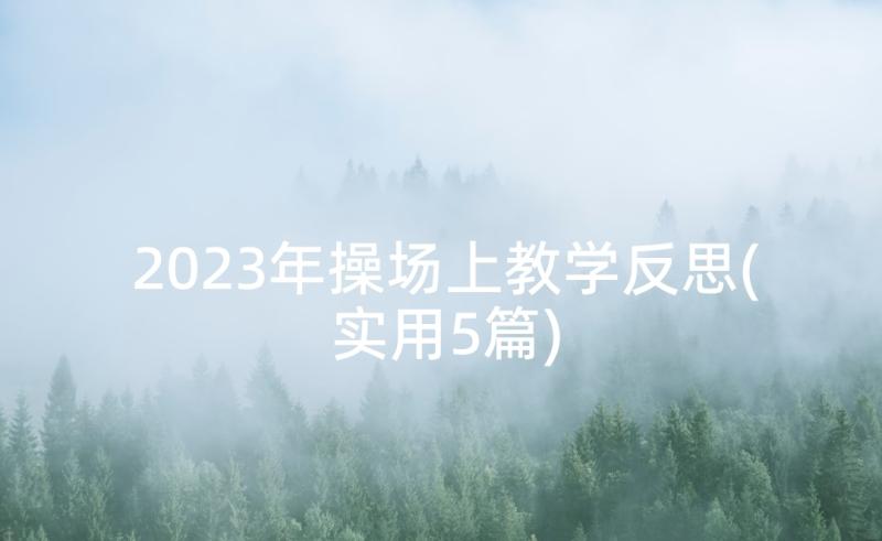 2023年操场上教学反思(实用5篇)