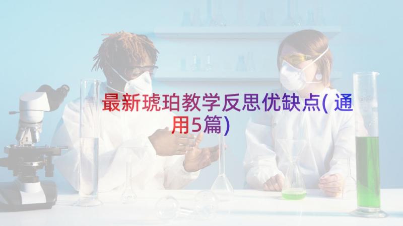 最新琥珀教学反思优缺点(通用5篇)