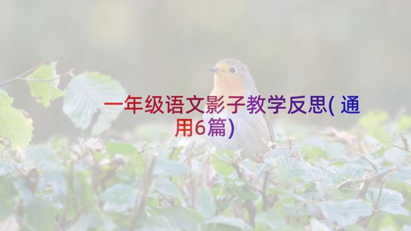 一年级语文影子教学反思(通用6篇)