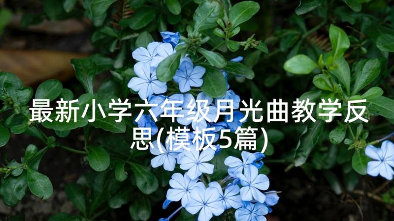 最新小学六年级月光曲教学反思(模板5篇)