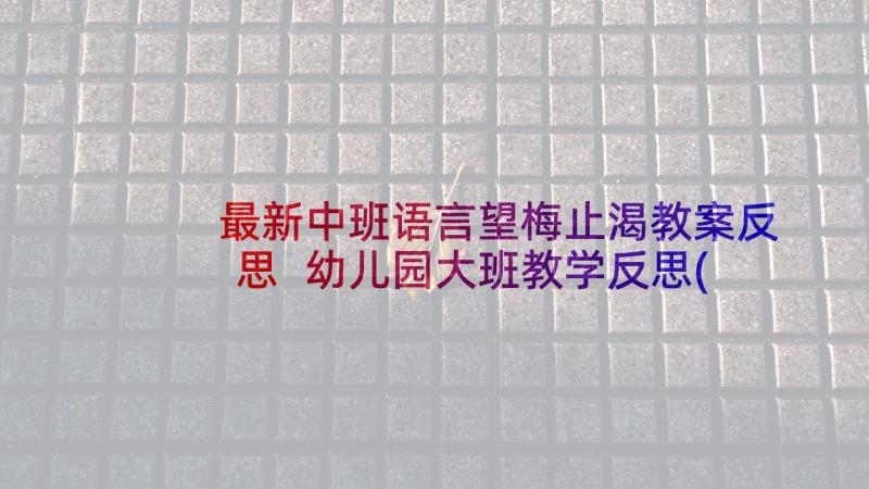 最新中班语言望梅止渴教案反思 幼儿园大班教学反思(模板9篇)