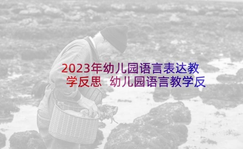 2023年幼儿园语言表达教学反思 幼儿园语言教学反思(大全6篇)