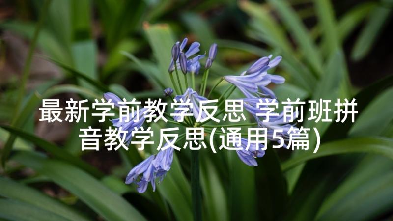 最新学前教学反思 学前班拼音教学反思(通用5篇)