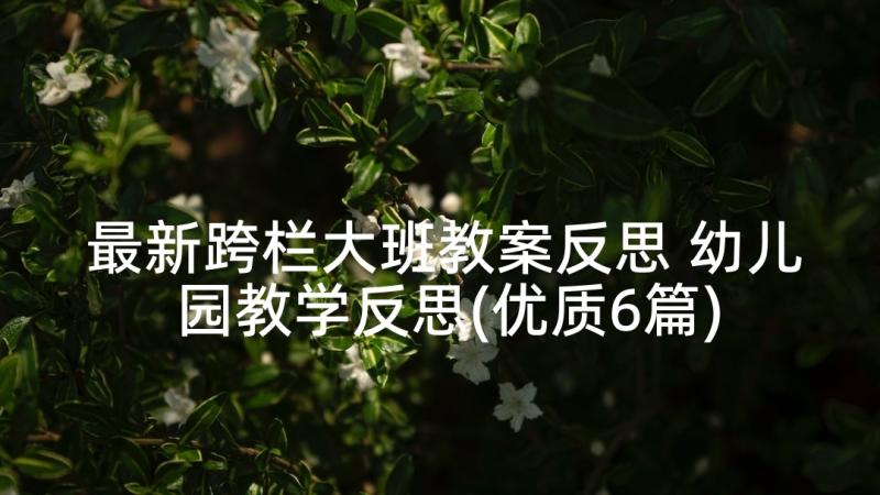 最新跨栏大班教案反思 幼儿园教学反思(优质6篇)