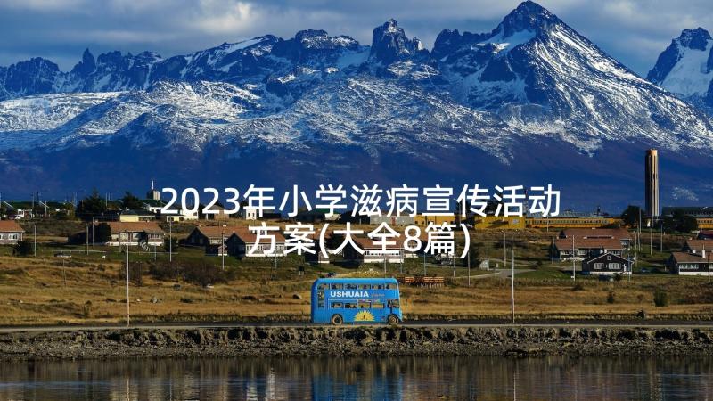 2023年小学滋病宣传活动方案(大全8篇)