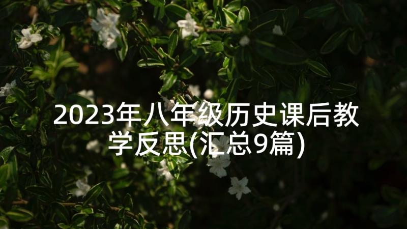 2023年八年级历史课后教学反思(汇总9篇)