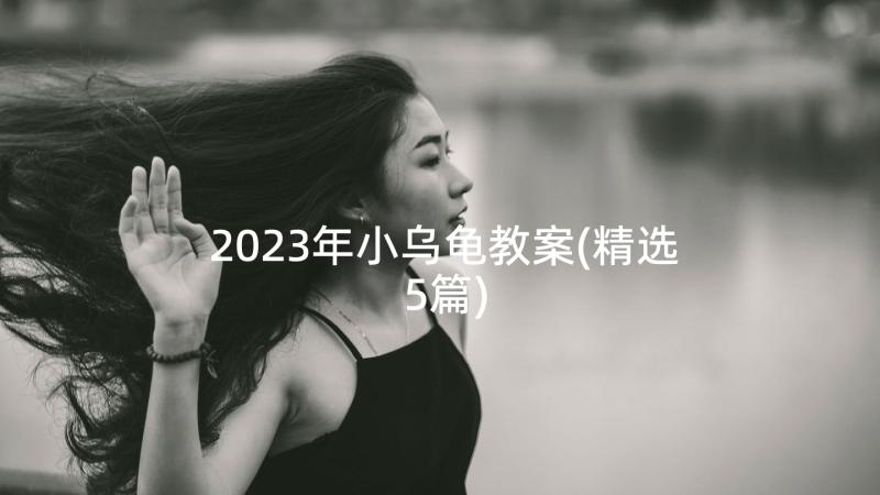 2023年小乌龟教案(精选5篇)