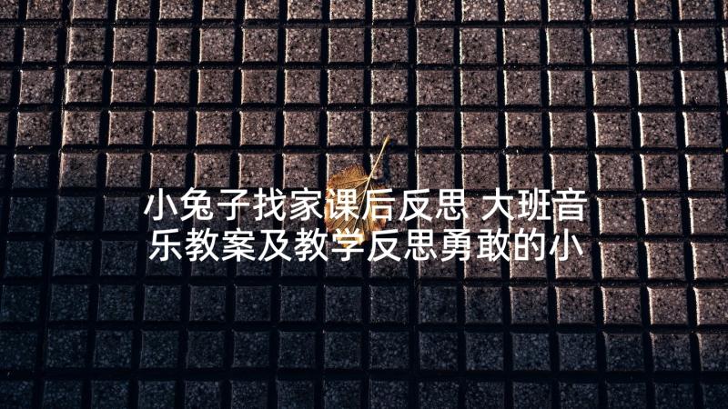 小兔子找家课后反思 大班音乐教案及教学反思勇敢的小兔子(实用5篇)