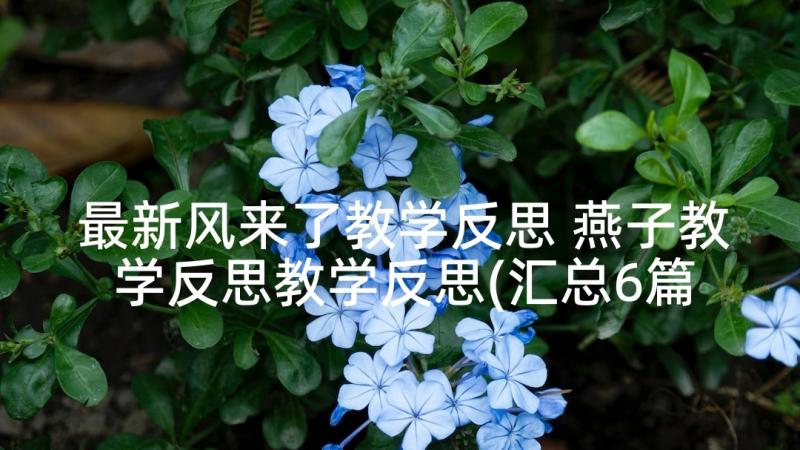 最新风来了教学反思 燕子教学反思教学反思(汇总6篇)