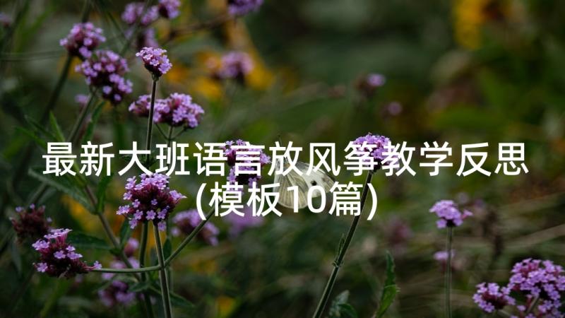 最新大班语言放风筝教学反思(模板10篇)