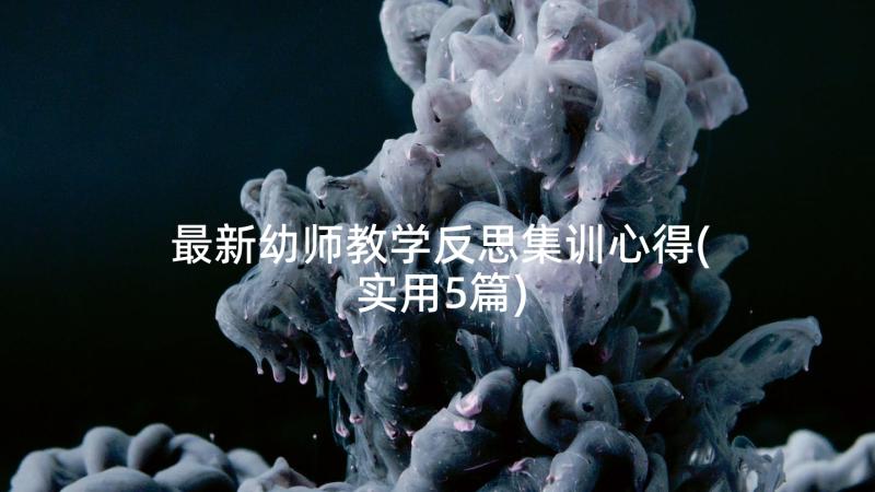 最新幼师教学反思集训心得(实用5篇)