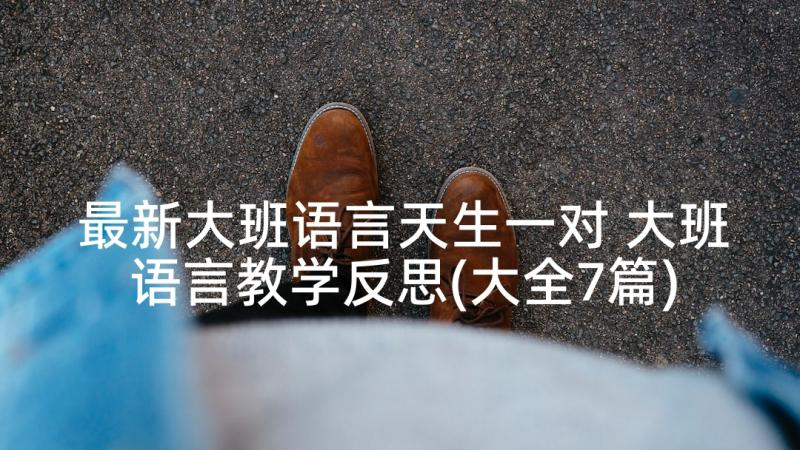 最新大班语言天生一对 大班语言教学反思(大全7篇)