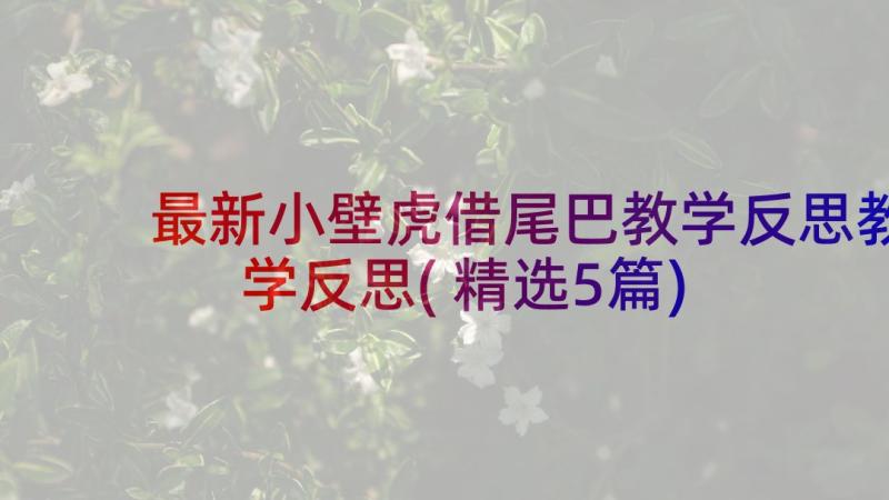 最新小壁虎借尾巴教学反思教学反思(精选5篇)