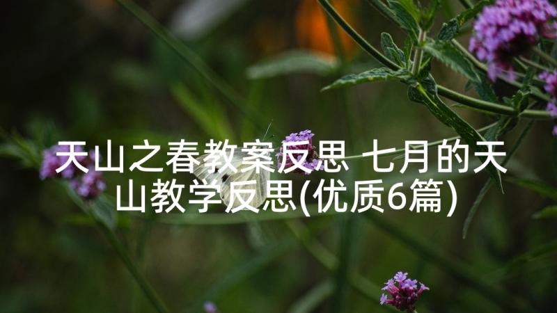 天山之春教案反思 七月的天山教学反思(优质6篇)