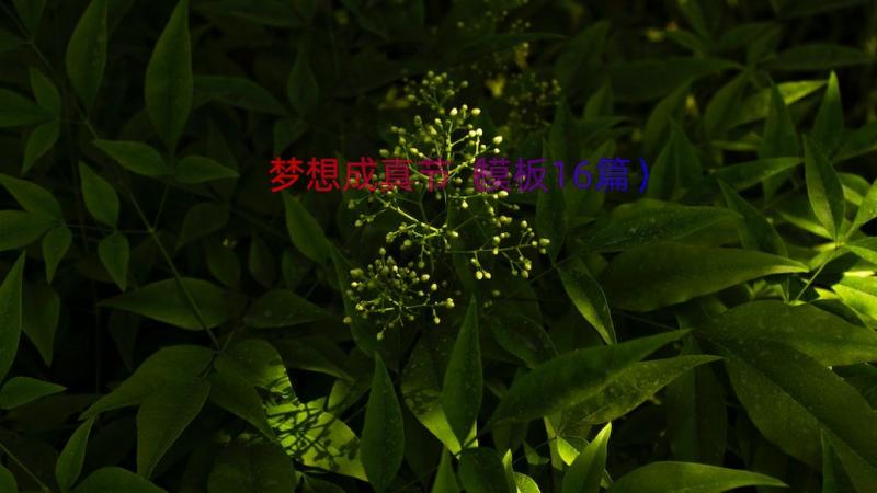 梦想成真节（模板16篇）