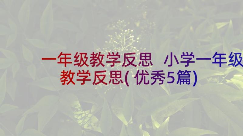 一年级教学反思 小学一年级教学反思(优秀5篇)