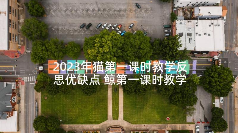 2023年猫第一课时教学反思优缺点 鲸第一课时教学反思(大全5篇)