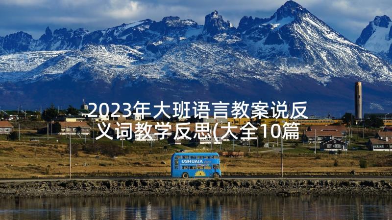 2023年大班语言教案说反义词教学反思(大全10篇)