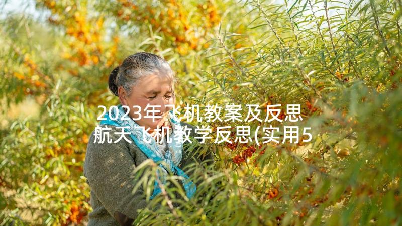 2023年飞机教案及反思 航天飞机教学反思(实用5篇)