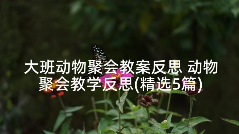 大班动物聚会教案反思 动物聚会教学反思(精选5篇)