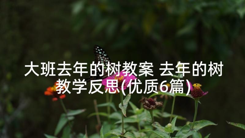 大班去年的树教案 去年的树教学反思(优质6篇)