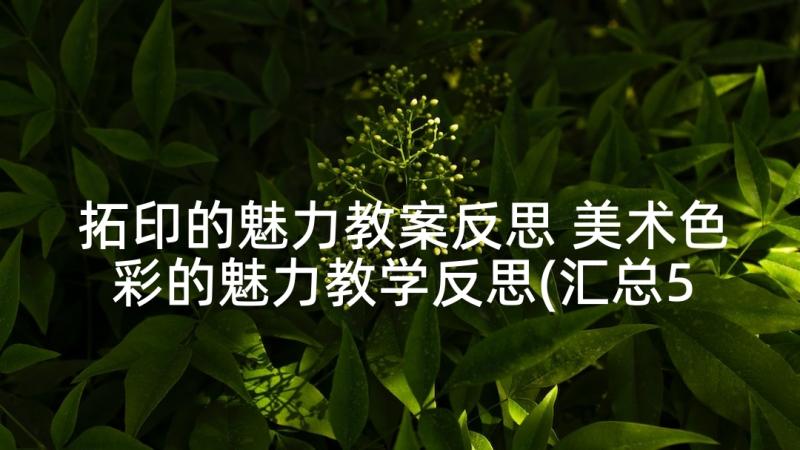 拓印的魅力教案反思 美术色彩的魅力教学反思(汇总5篇)