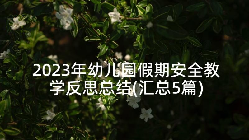 2023年幼儿园假期安全教学反思总结(汇总5篇)