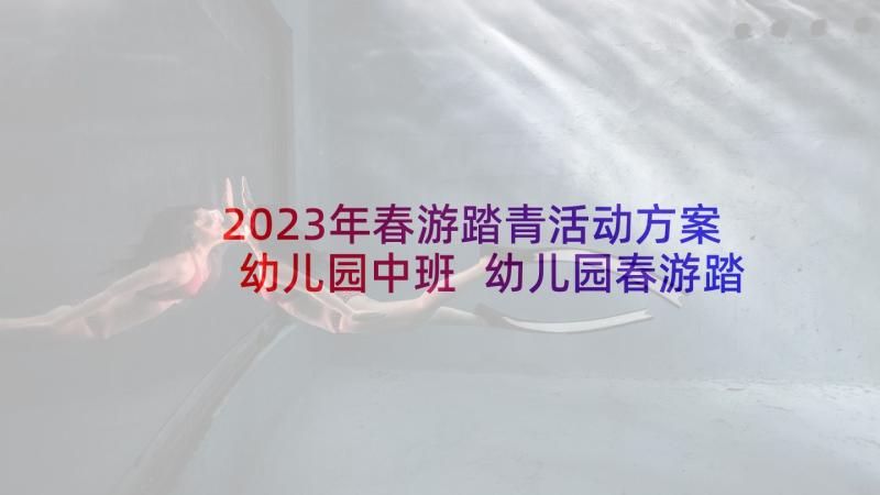 2023年春游踏青活动方案幼儿园中班 幼儿园春游踏青活动方案(精选5篇)