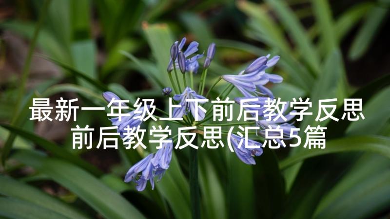 最新一年级上下前后教学反思 前后教学反思(汇总5篇)