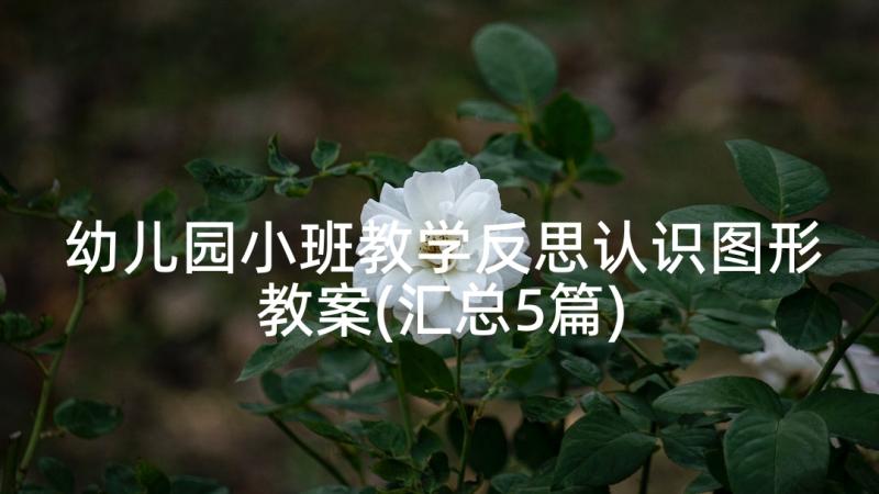 幼儿园小班教学反思认识图形教案(汇总5篇)